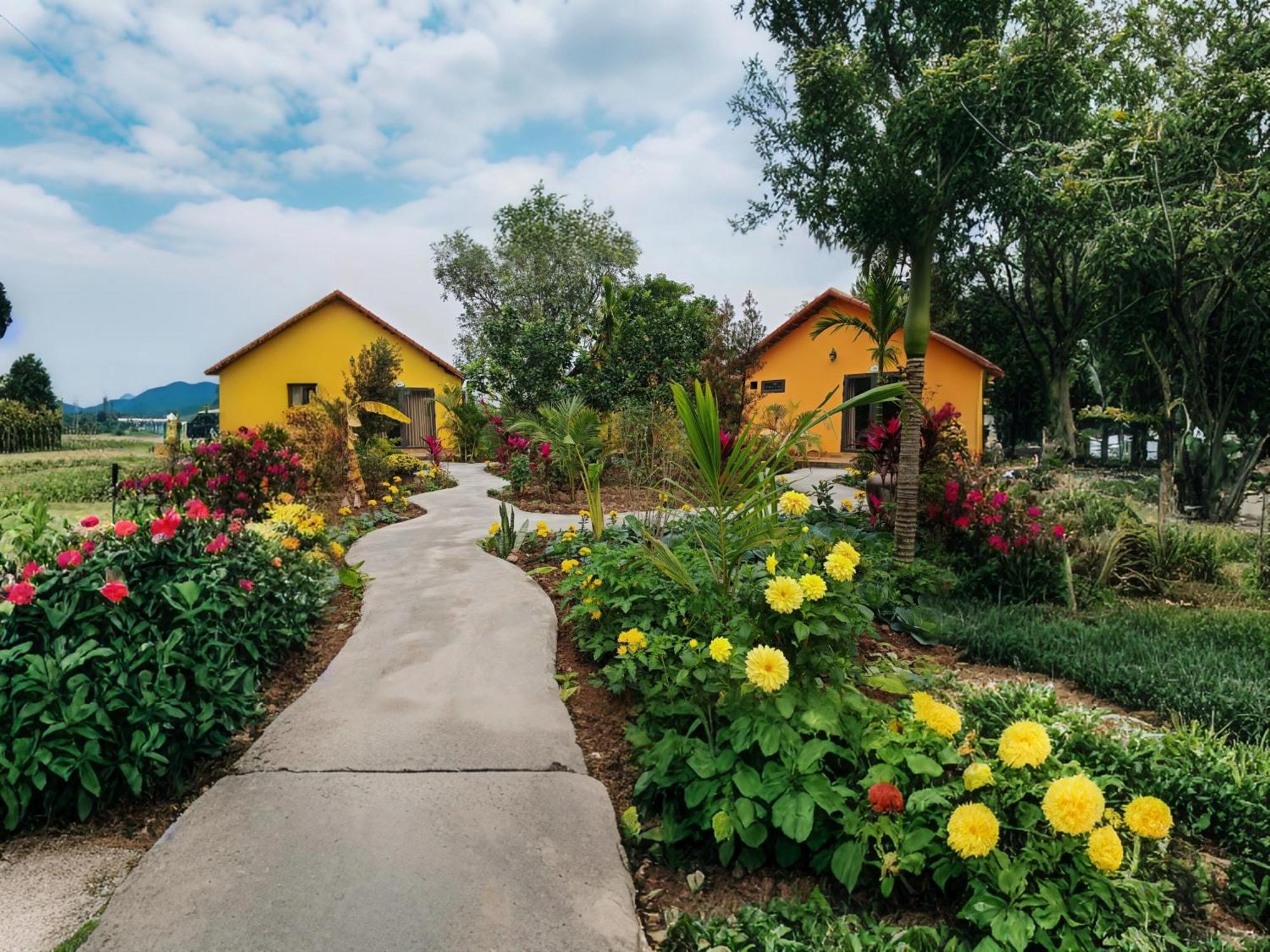 Ninh Binh Peaceful Retreat Βίλα Εξωτερικό φωτογραφία